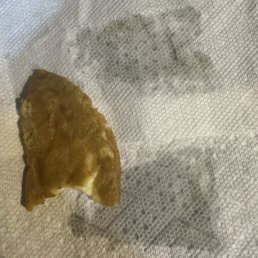 Picture of Empanada right before I threw it in the garbage. Picture of Empanada right before I threw it in the garbage.