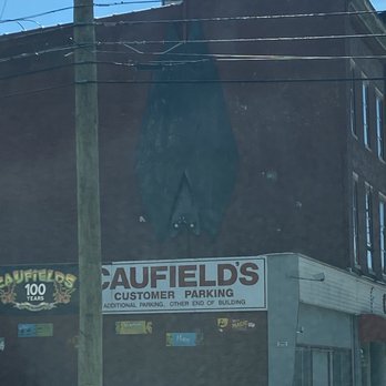 Caufields Worlds Largest Vampire Bat - Public Art Near Me - Louisville, Kentucky