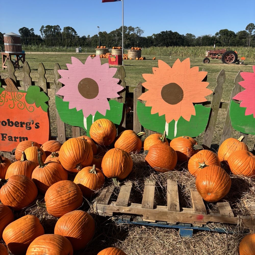 Froberg's Farm - Pick Your Own Farms Near Me - Alvin, Texas Froberg's Farm - Pick Your Own Farms Near Me - Alvin, Texas