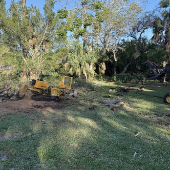 Tyler’s Tree Trimming - Tree Services Near Me Tyler’s Tree Trimming - Tree Services Near Me