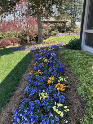 Gibbs Gardens by null
