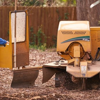 Barry's Stump Removal - Tree Services Near Me - Lancaster, South Carolina Barry's Stump Removal - Tree Services Near Me - Lancaster, South Carolina