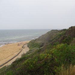 Sandringham Beach - Beach