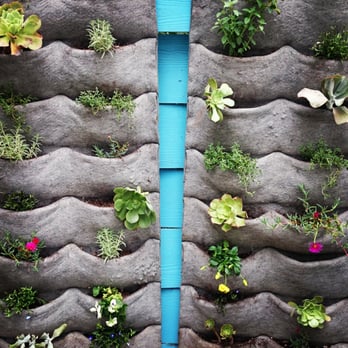 Brewery Artwalk - Beautiful succulent garden - Art Galleries Near Me - Los Angeles, California