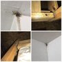 Photo of It's Bugs Or Us Pest Control - Houston
