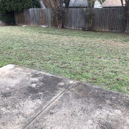 Back yard area