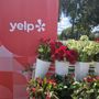 Skyline Flowers - Encino Farmers Market