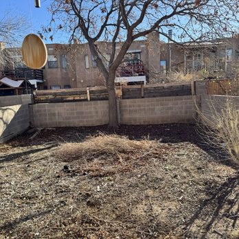Arborscapes Ground Maintenance and Landscaping - Before backyard - Landscaping Near Me