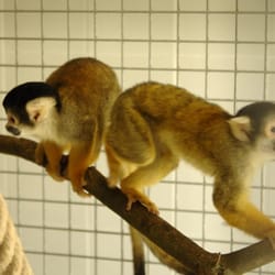 Parc Zoologique de Montpellier - Le Parc du Lunaret Montpellier