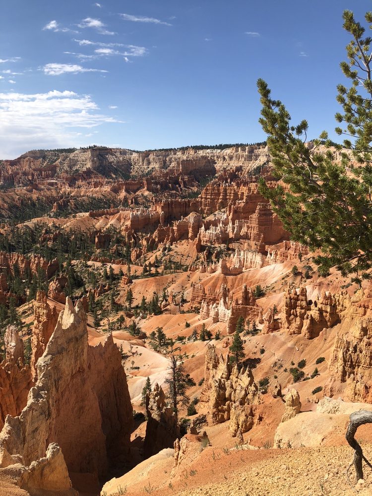 PANGUITCH KOA Updated October 2024 12 Photos & 18 Reviews 555