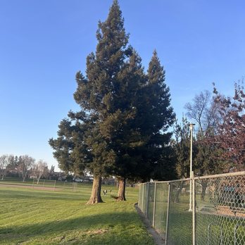 Peterson Park - Parks Near Me - Lodi, California Peterson Park - Parks Near Me - Lodi, California