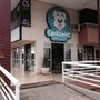 Photo of Cão Kilate