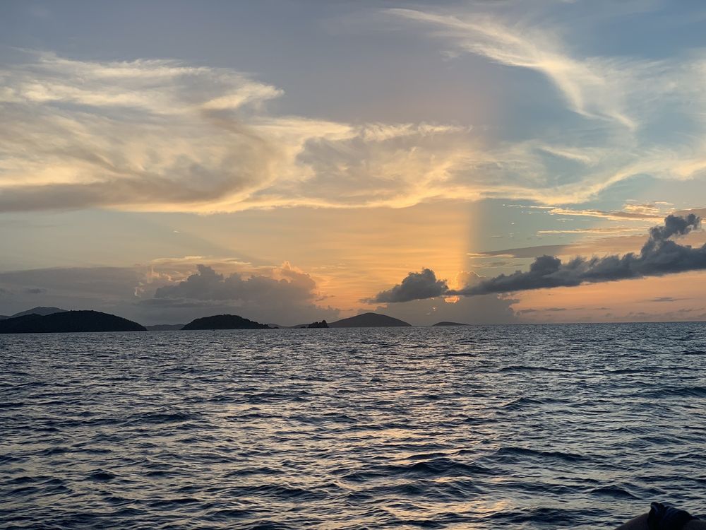 PALM TREE CHARTERS Updated August 2024 13 Photos & 13 Reviews Joe's Rum Hut, St. John