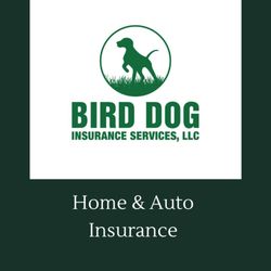 Bird Dog Insurance of Mineola