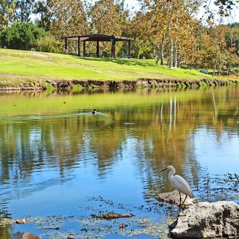 Ted Craig Regional Park - Parks Near Me - Fullerton, California Ted Craig Regional Park - Parks Near Me - Fullerton, California