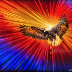 Derubeis Fine Art on Metal - Unique "Eagle" 24x36 by Chris Derubeis