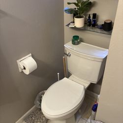 Mitch's Handyman Services - New toilet