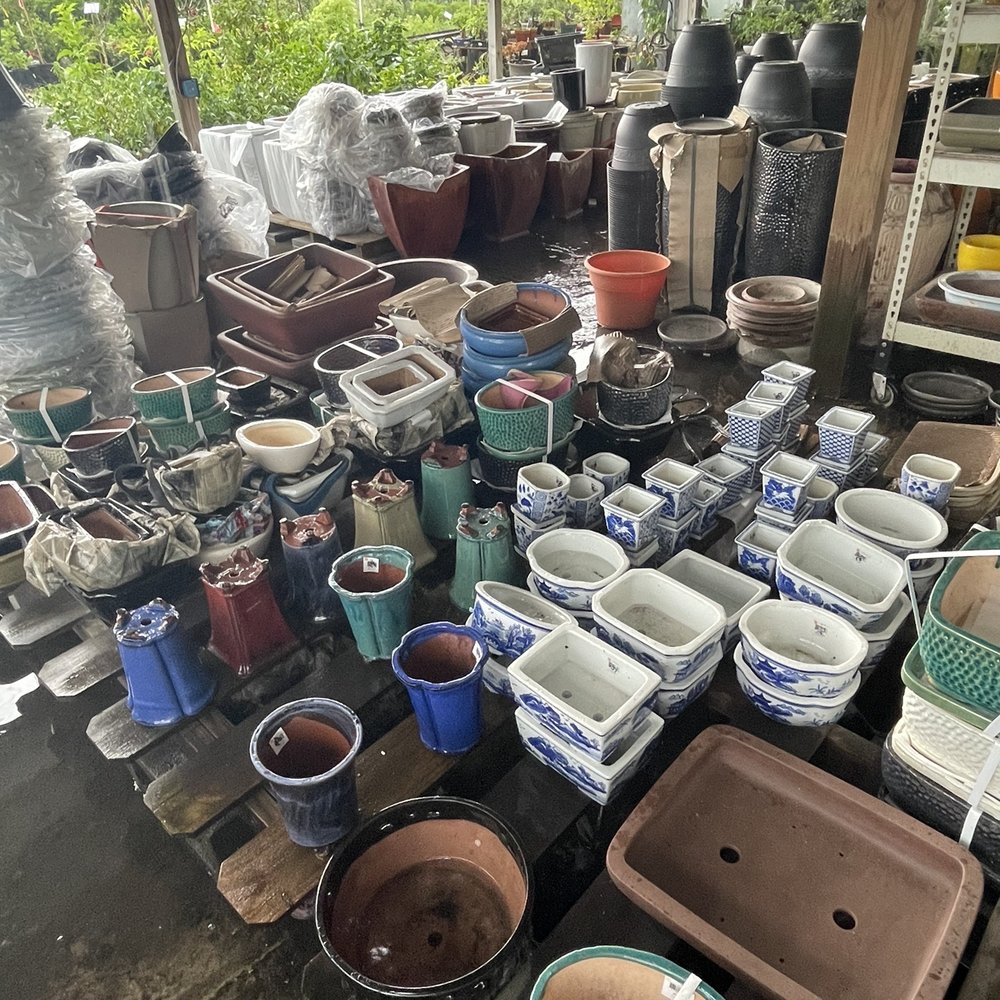 JRN Nursery - Bonsai pots - Nurseries & Gardening Near Me - Houston, Texas JRN Nursery - Bonsai pots - Nurseries & Gardening Near Me - Houston, Texas