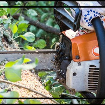 Limb Walkers - Tree Services Near Me Limb Walkers - Tree Services Near Me