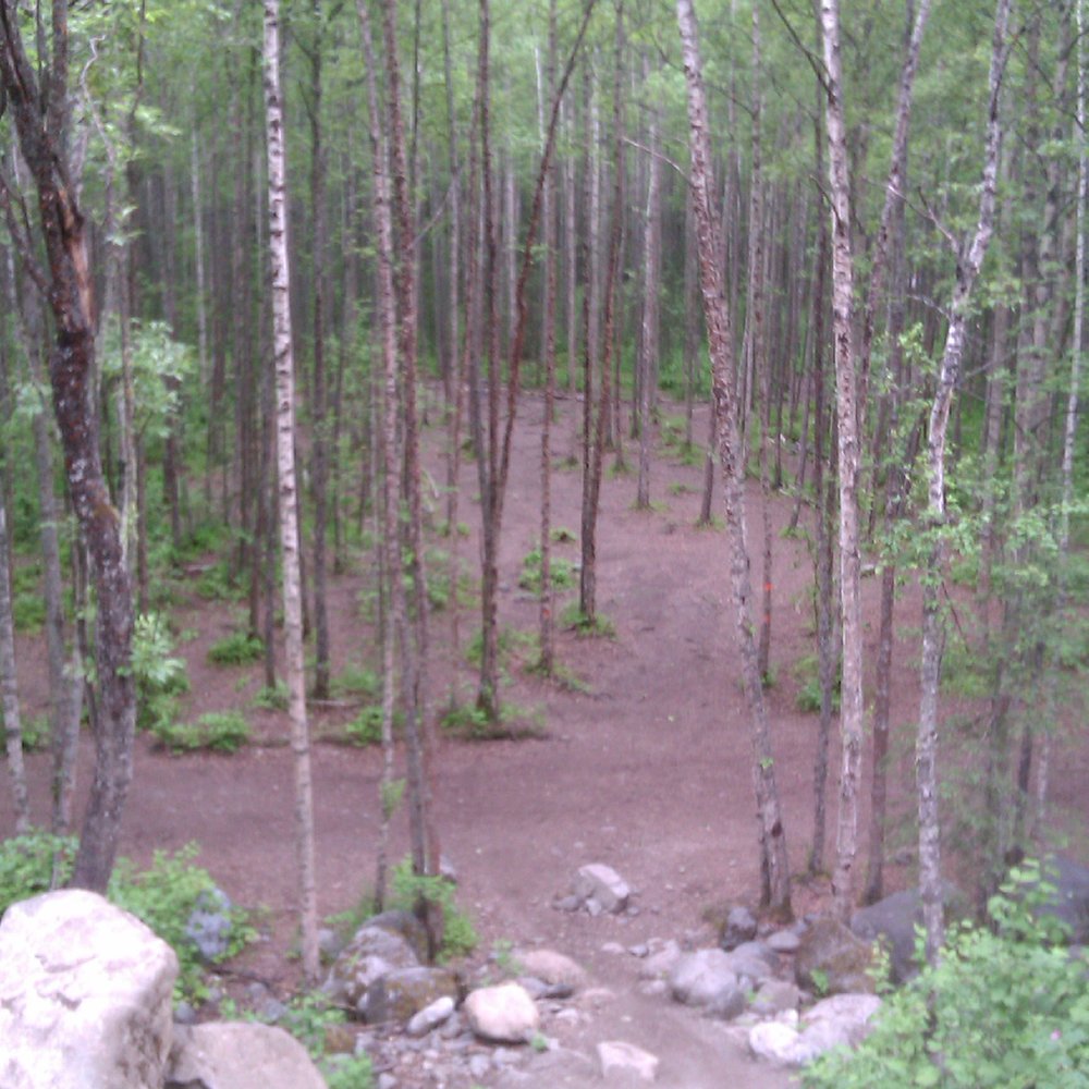 Peters Creek Disc Golf Course - Looking down from the tee of hole #8 - Disc Golf Near Me - Chugiak, Alaska Peters Creek Disc Golf Course - Looking down from the tee of hole #8 - Disc Golf Near Me - Chugiak, Alaska