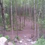 Photo of Peters Creek Disc Golf Course