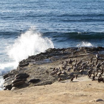 Coast Walk Trail - Hiking Near Me - San Diego, California