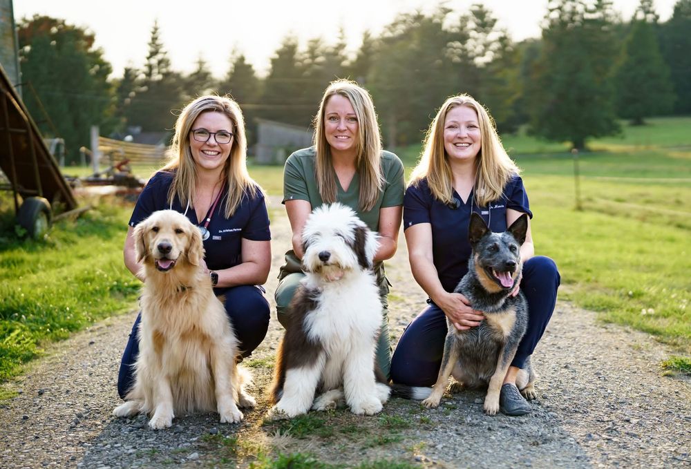 Sterling Veterinary Clinic Image
