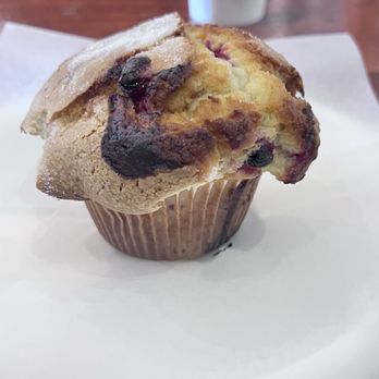 Odd Birds Cafe - Cafes Near Me - St. Augustine, Florida
