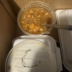 Yan's