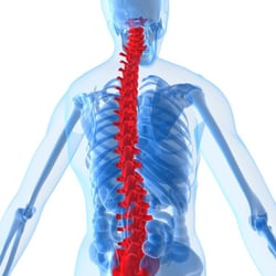 Naturheilpraxis für OSTEOPATHIE und Chiropraktik