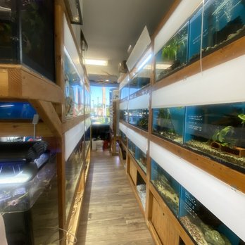 Fresh Pets And Grooming - Pet Stores Near Me - Lomita, California