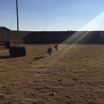 Astro Kennels - Pet Training Near Me - Simpsonville, South Carolina