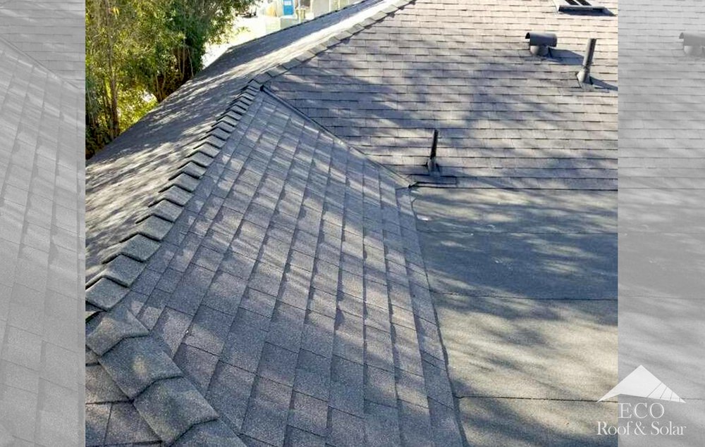 Slide of Eco Systems