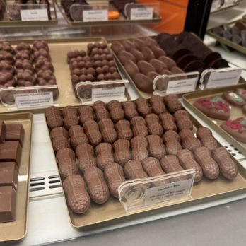 Harrods - Department Stores Near Me - London, XGL