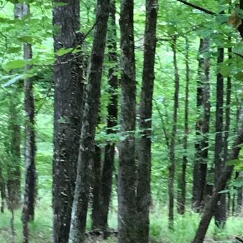 Arkansas Riding Stables - Horseback Riding Near Me - Malvern, Arkansas