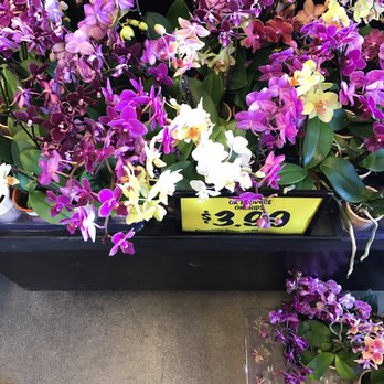 Grocery Outlet - Grocery Near Me - Spring Valley, California