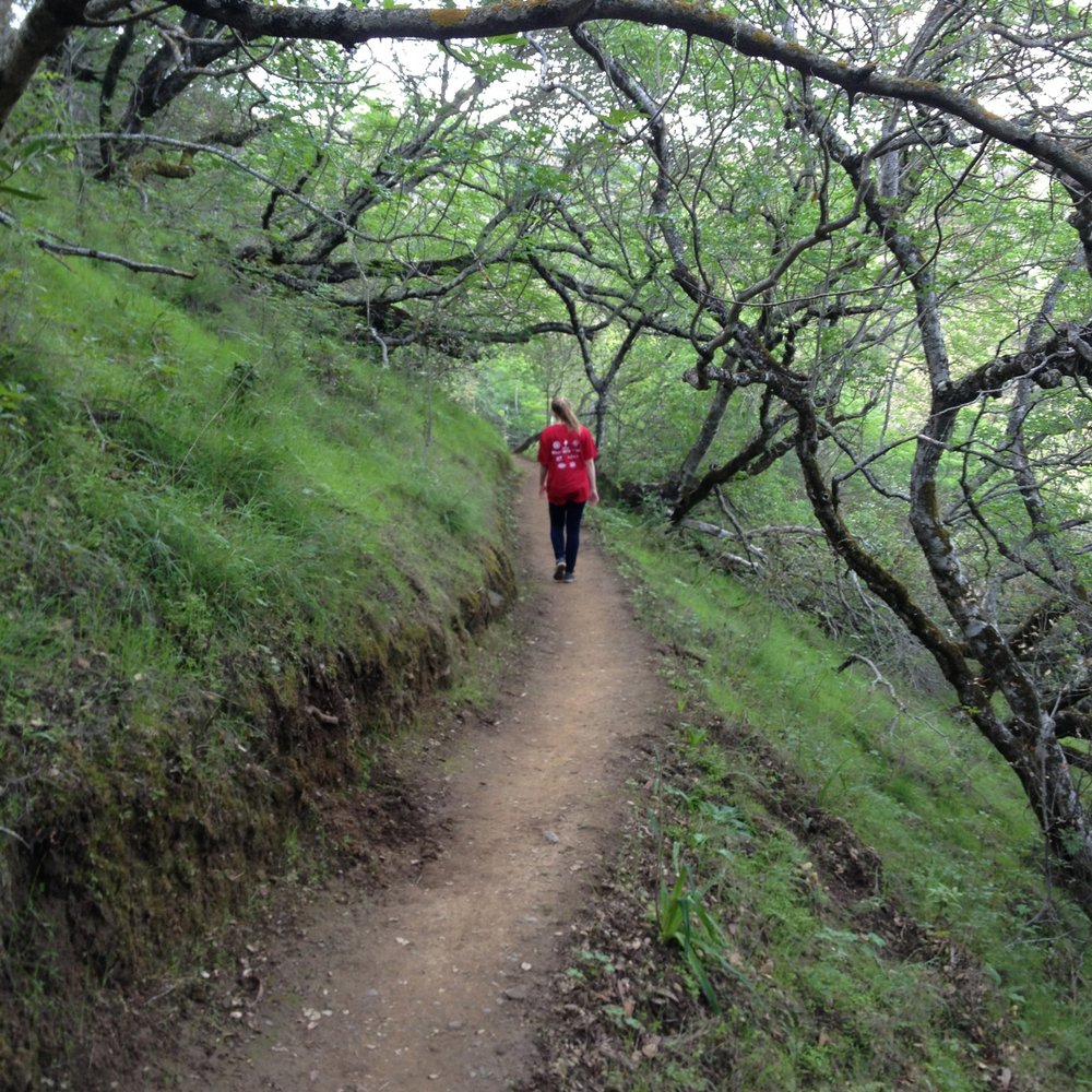 Eaton Park - trail shot - Parks Near Me - San Carlos, California Eaton Park - trail shot - Parks Near Me - San Carlos, California