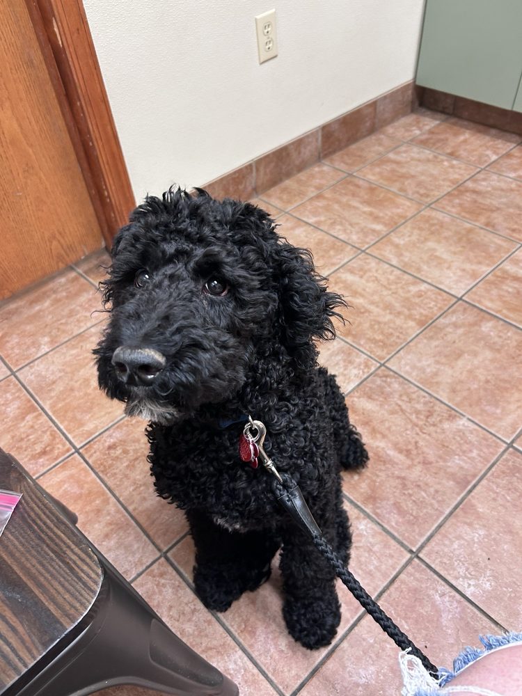 Middletown Veterinary Hospital Image