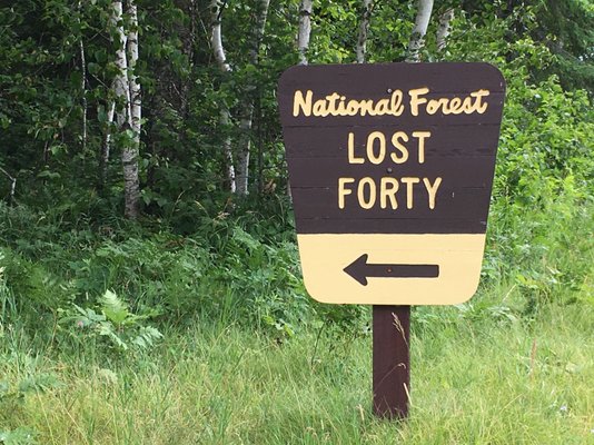 Chippewa National Forest by null
