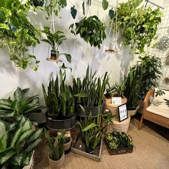Gallery Grow - Flowers & Gifts Near Me - Lancaster, Pennsylvania