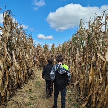 Nickajack Farms - Corn maze! - Farms Near Me - North Lawrence, Ohio Nickajack Farms - Corn maze! - Farms Near Me - North Lawrence, Ohio