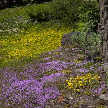 Ohme Gardens - Lots of color in the spring, but something to see all year round. - Tours Near Me - Wenatchee, Washington Ohme Gardens - Lots of color in the spring, but something to see all year round. - Tours Near Me - Wenatchee, Washington