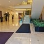 Allergy & Asthma Medical Group of The Bay Area