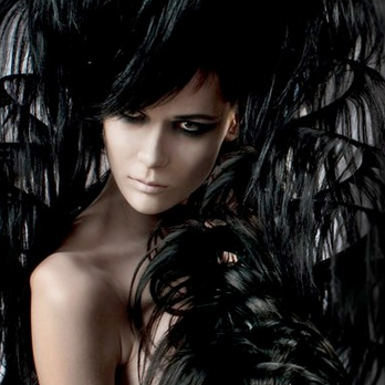 Blue Tit - Hair Salons Near Me - London, XGL Blue Tit - Hair Salons Near Me - London, XGL