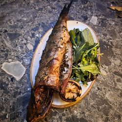 Theodora - Dry aged Branzino