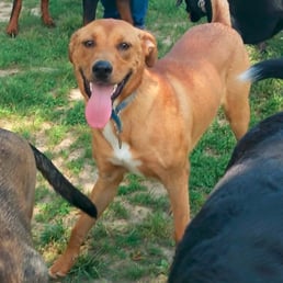 The face of the happiest camper of all. The face of the happiest camper of all.