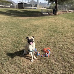 Horizon Dog Park