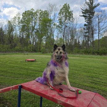 Aukerman Park - Dog Parks Near Me - North Royalton, Ohio Aukerman Park - Dog Parks Near Me - North Royalton, Ohio