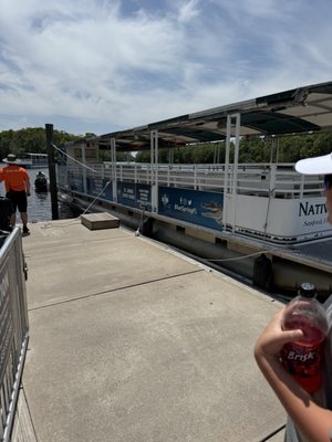 Blue Spring Adventures by null