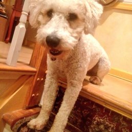 Teddy Teddy
